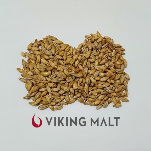 Foto do produto Blend Malte Pilsen + Golden Ale Viking Malt 1Kg