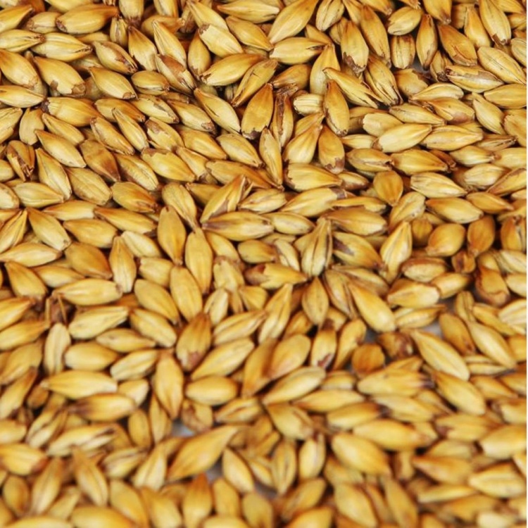 Malte Carared Weyermann 100g