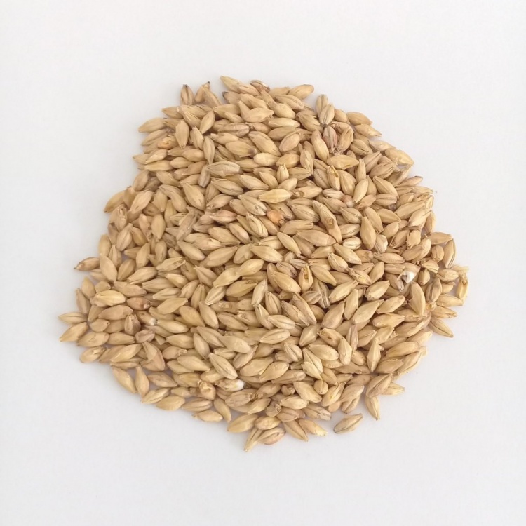 Malte Pilsen Agraria 100g