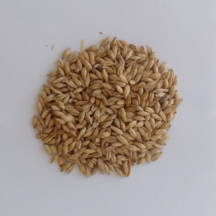 Malte Caraamber Weyermann 100g
