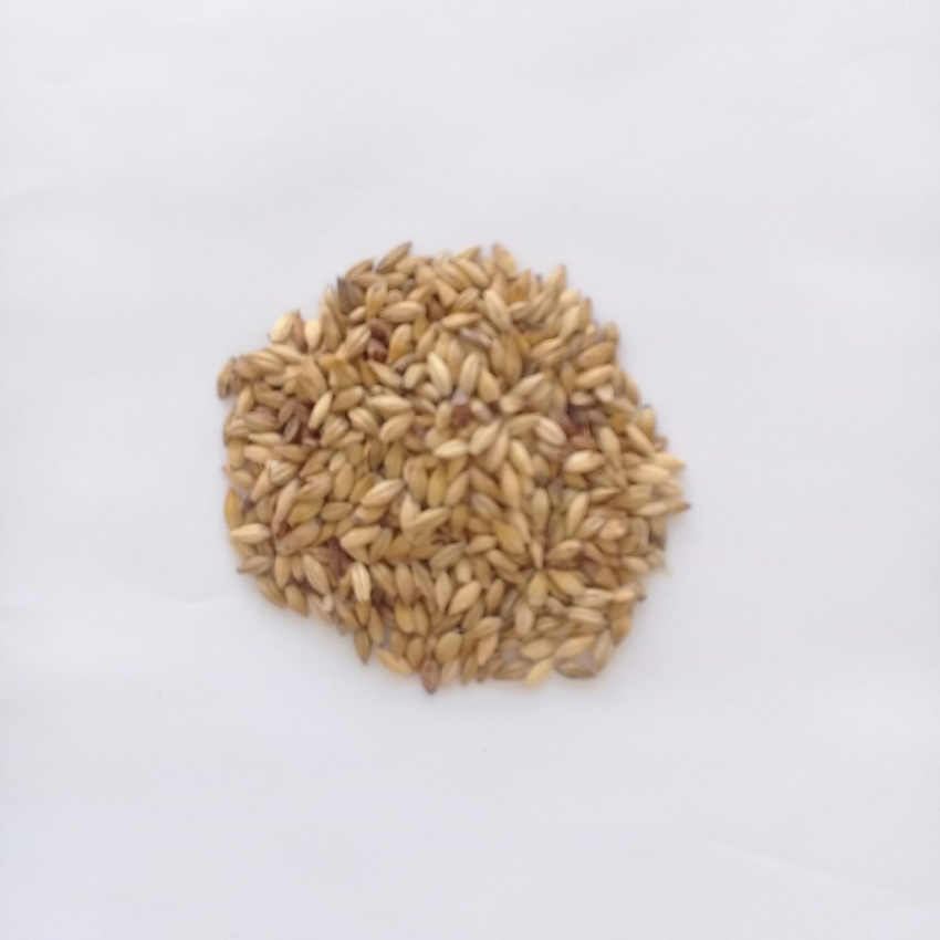 Malte Cara 20 Dingeman's 100g