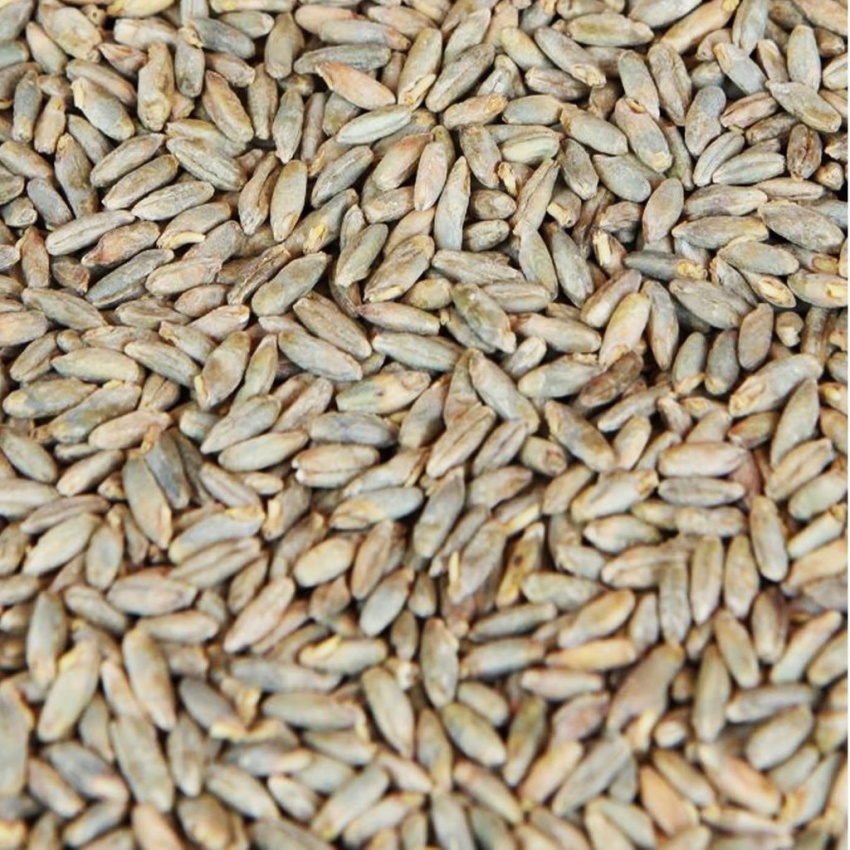 Malte de Centeio (Rye Malt) Weyermann 100g