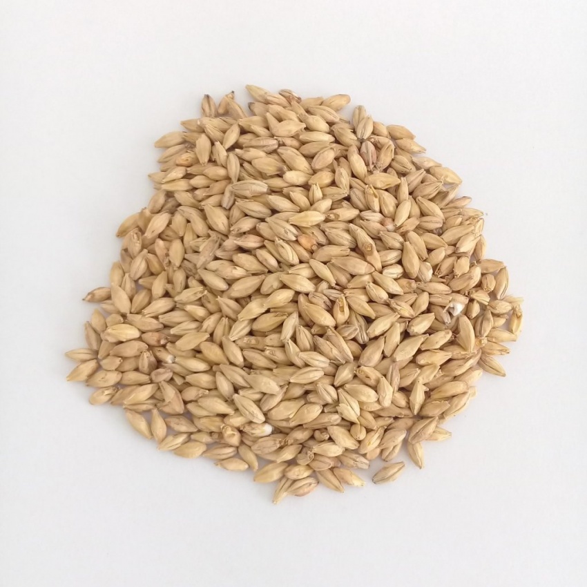 Malte Pilsen Agraria 100g