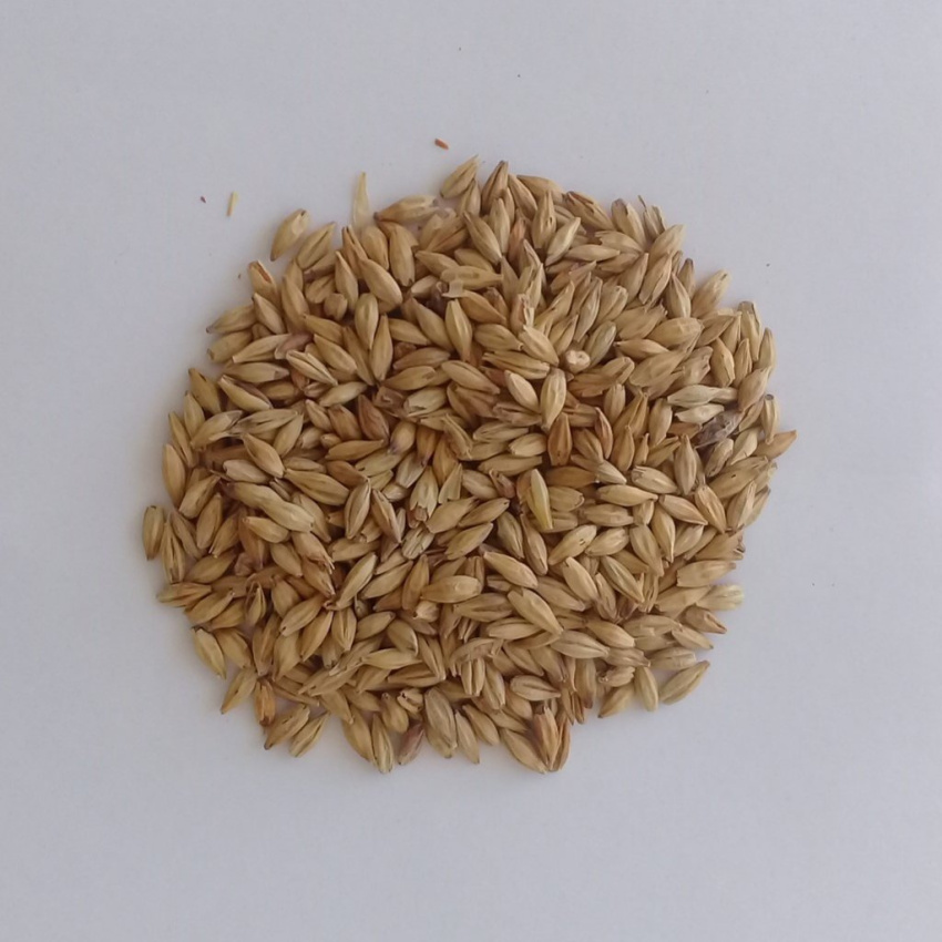 Malte Caraamber Weyermann 100g